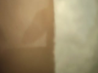 【瘦子探花梦幻馆】约操花臂网红外围，超级视角拍摄，张开双腿舔逼