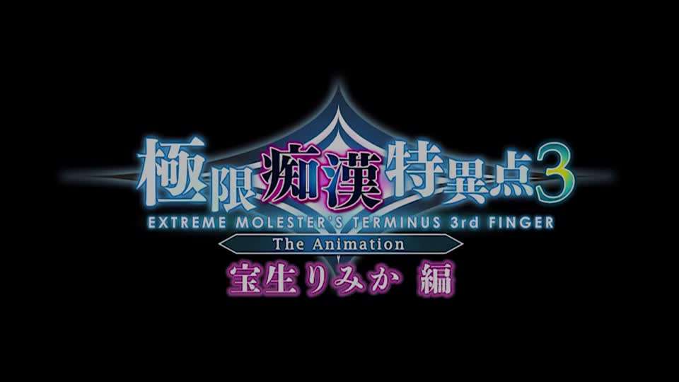 里番  极限痴汉特异点3